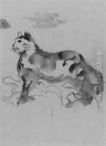 Katze Katze