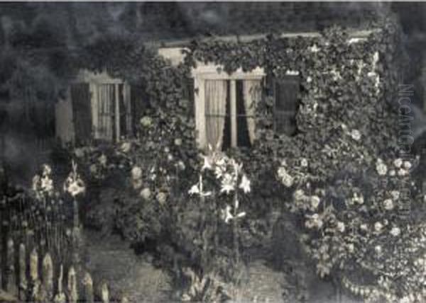 The Garden - view 1