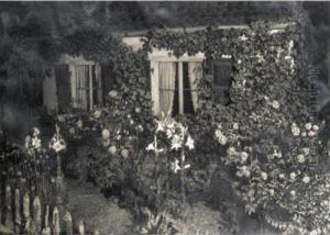 The Garden