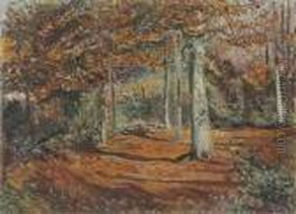 Sous-bois En Automne - view 1