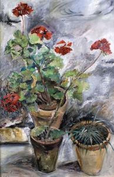 Pots De Geraniums Sur La Terrasse - view 1