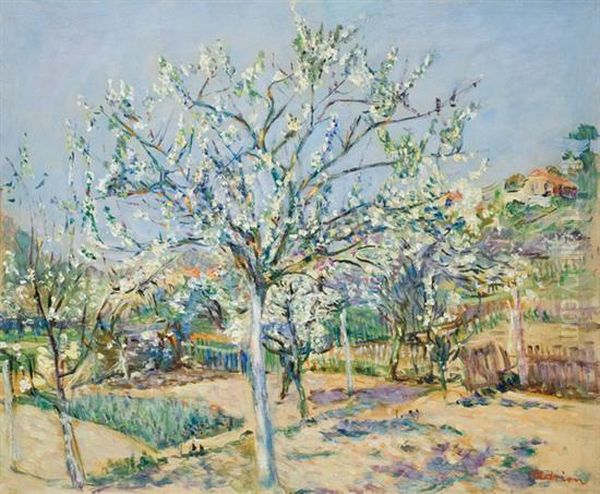 The Italian's Garden - view 1