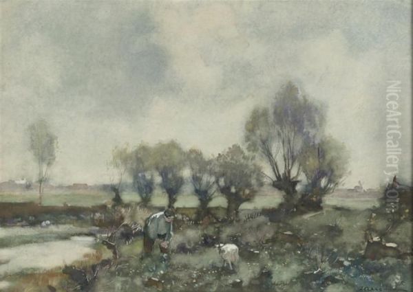Boy With Goats - view 1
