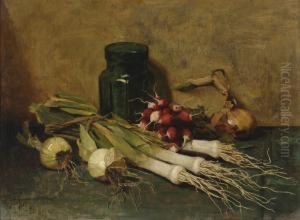 Still Life With Leek Andradish