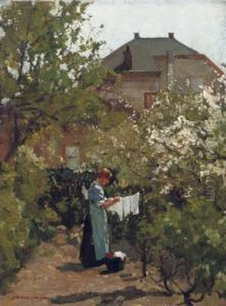 Wasch Droog In Tuintje: In The Garden - view 1