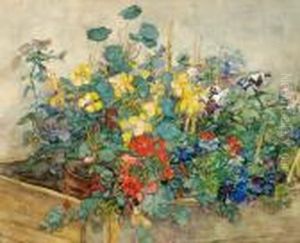 The Abundance Of Summer