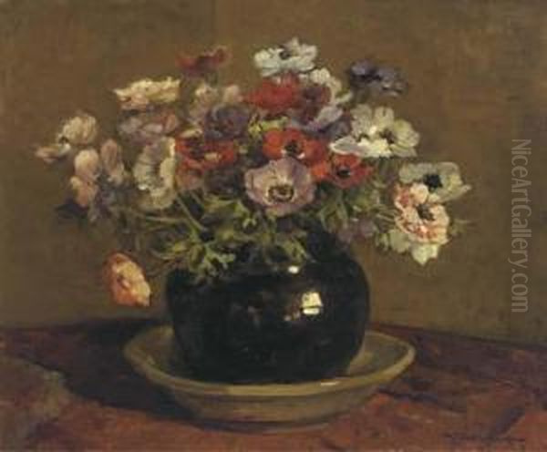 Anemones - view 1