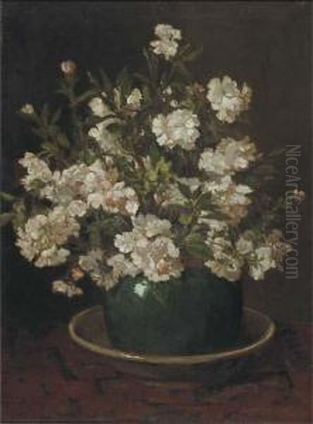 Azalea In An Earthenware Pot - view 1