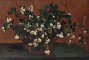 Snowberries Snowberries