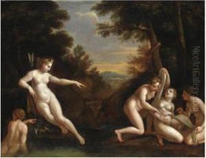 Diana E Callisto