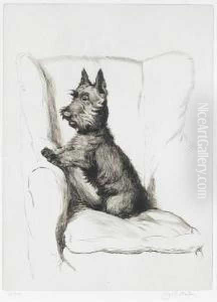 A Scottish Terrier In An Armchair - view 1