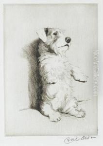 A Sealyham On His Haunches