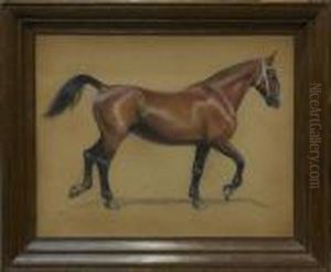 Bay Horse