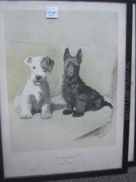 The Two Scamps - view 1