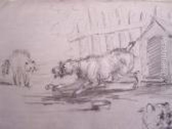 A Dog Scaring A Cat - view 1