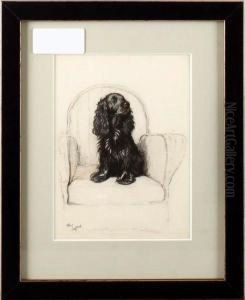 Spaniel On Chair Spaniel On Chair