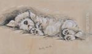 Fortywinks by Cecil Charles Aldin