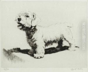 A Sealyham by Cecil Charles Aldin