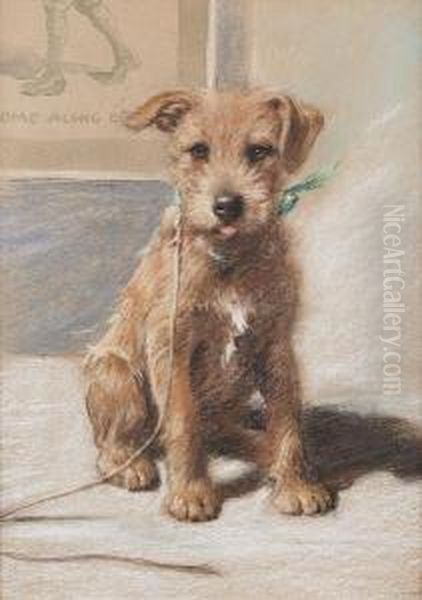Caffy - An Irish Terrier - view 1
