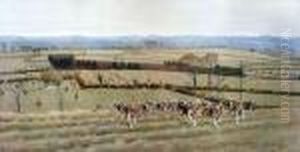 The Warwickshire Away Fromwatergall The Warwickshire Away Fromwatergall