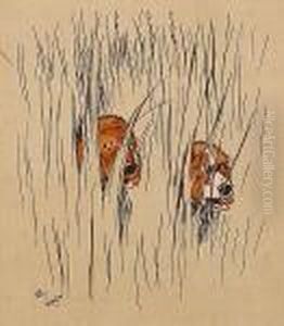 Two Dogs Peering Out Through Tall Grass Two Dogs Peering Out Through Tall Grass