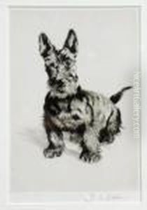 'who Said 'rats' - A Scottie' by Cecil Charles Aldin