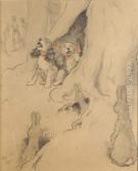 Chiots Et Lapins - view 1