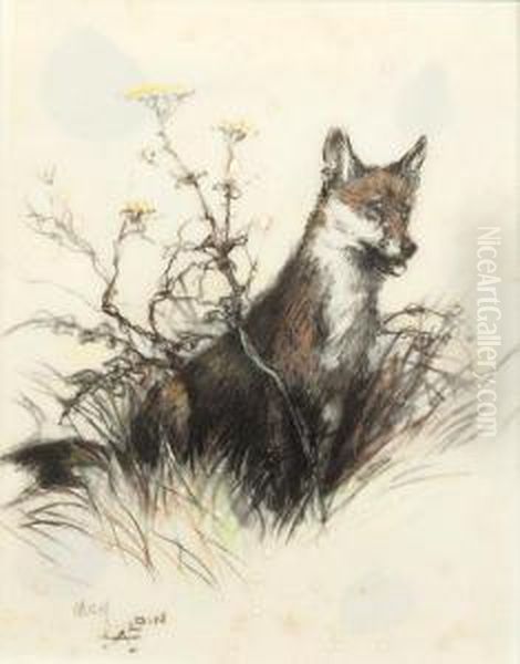 Fox In The Undergrowth - view 1