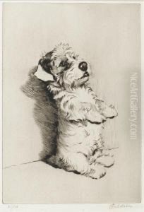 A Sealyham by Cecil Charles Aldin