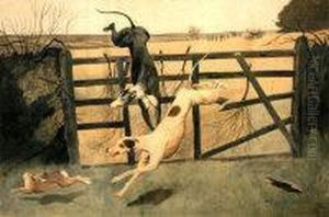 Hare Coarsing by Cecil Charles Aldin