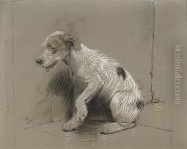 Study Of A Wire-haired Jack Russell - view 1