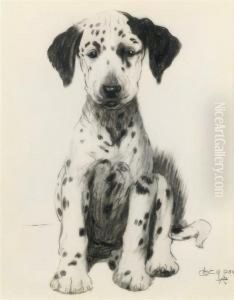 Loopy, The Dalmatian Puppy by Cecil Charles Aldin