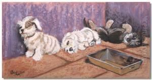 Puppies Playing By A Baking Tin Puppies Playing By A Baking Tin