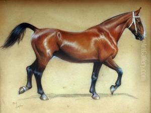 Study Of A Bay Hunter Trotting by Cecil Charles Aldin