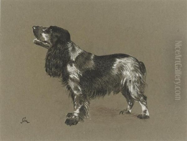 A Cocker Spaniel Awaiting A Treat - view 1