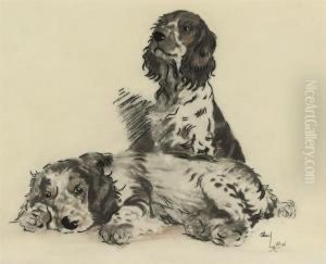 Tortoiseshell Spaniels