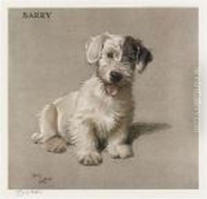 Barry by Cecil Charles Aldin