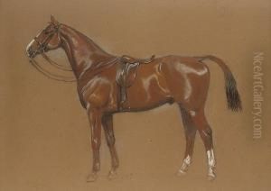 Liffey Bank: A Chestnut Hunter by Cecil Charles Aldin