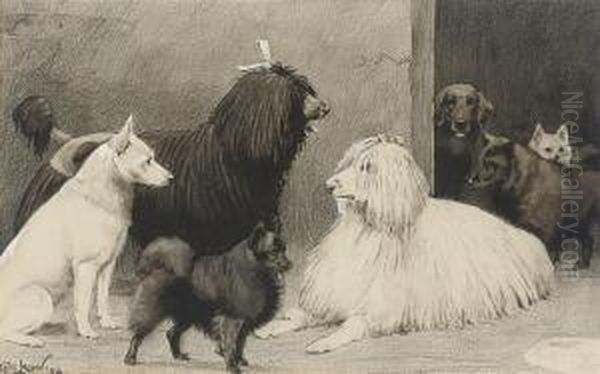 Crufts - view 1