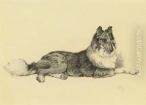 A Collie Lying Down by Cecil Charles Aldin