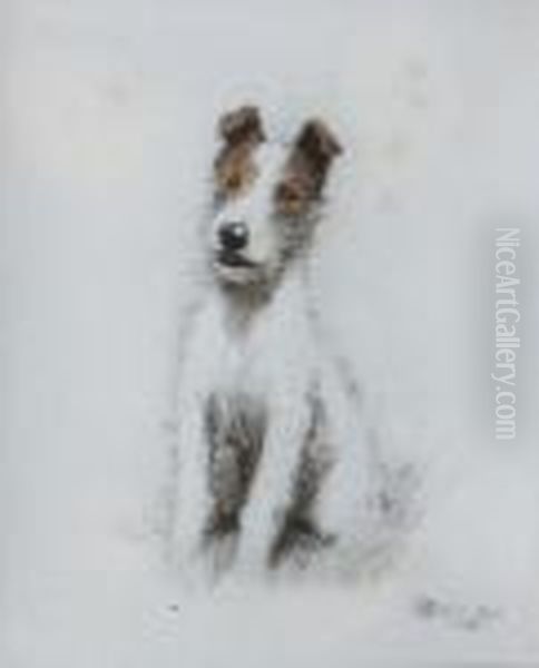 Study Of A Fox Terrier - view 1