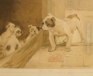 'family Cares', Depicting A Bulldog And Puppies by Cecil Charles Aldin