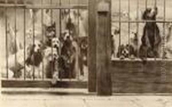 The Dogs Home - view 1