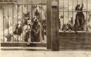 The Dogs Home by Cecil Charles Aldin