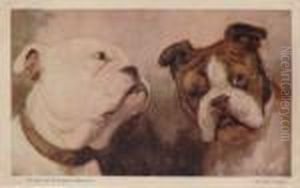 'types Of English Beauty', Depicting Two Bulldogs by Cecil Charles Aldin