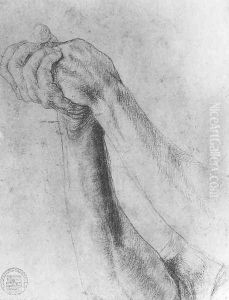 Upper Arm Study 1512-14