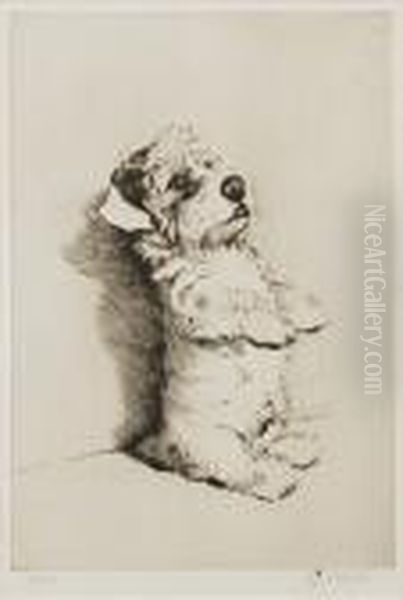 Beg! (a Terrier Pup) - view 1