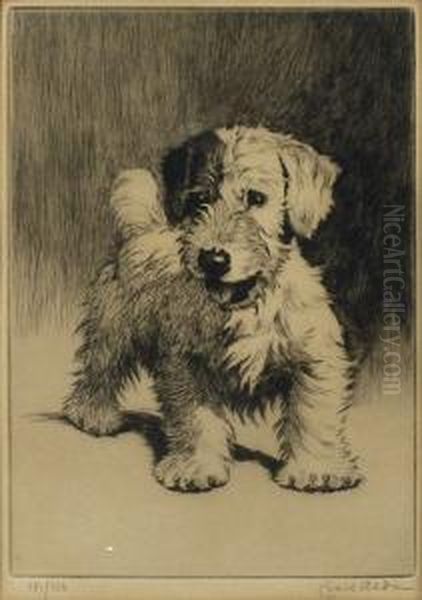 A Puppy - view 1