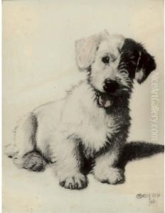 A Sealyham Terrier by Cecil Charles Aldin
