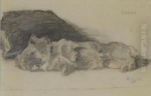 'susan': A Restingdog - view 1